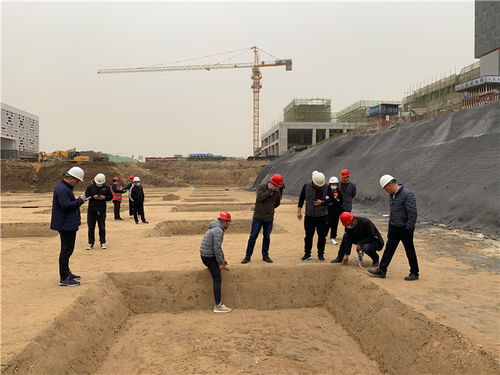 山东郓城提升项目人防工程基槽验收圆满完成